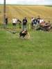 bungee017